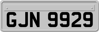 GJN9929
