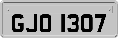 GJO1307