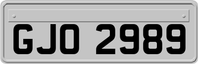 GJO2989