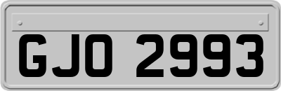 GJO2993