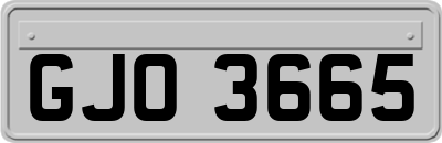 GJO3665