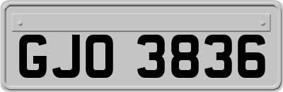 GJO3836