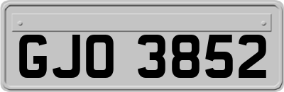 GJO3852