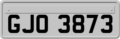 GJO3873