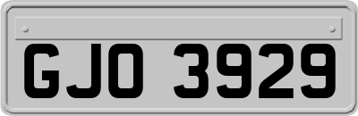 GJO3929