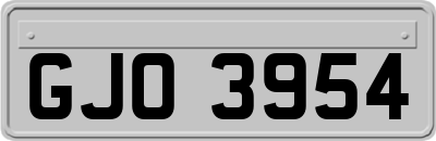 GJO3954