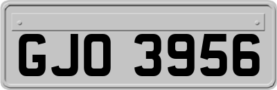 GJO3956