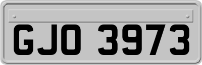 GJO3973