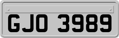 GJO3989