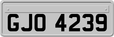 GJO4239