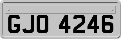 GJO4246