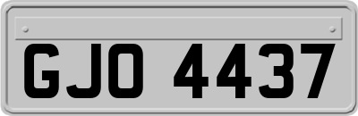 GJO4437