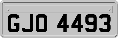 GJO4493