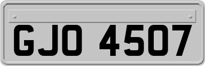 GJO4507