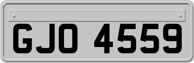 GJO4559