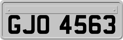 GJO4563