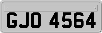 GJO4564