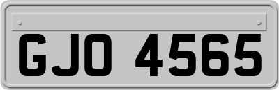 GJO4565