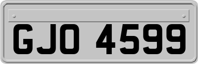 GJO4599