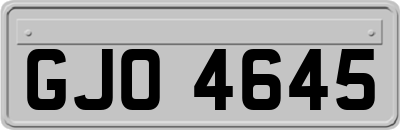 GJO4645