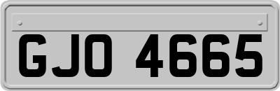 GJO4665