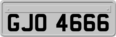 GJO4666