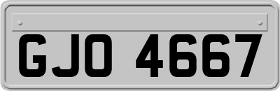 GJO4667