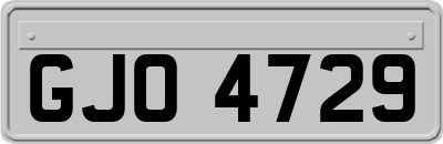 GJO4729