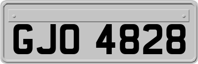 GJO4828