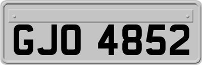 GJO4852