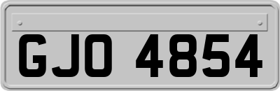 GJO4854