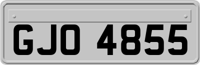 GJO4855