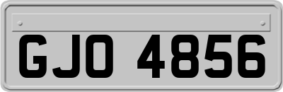 GJO4856