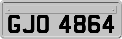 GJO4864