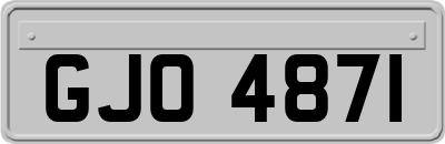 GJO4871