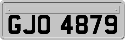 GJO4879