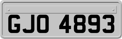 GJO4893