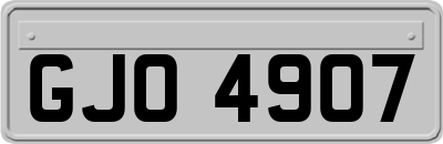 GJO4907