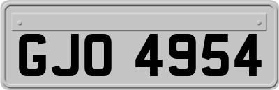 GJO4954