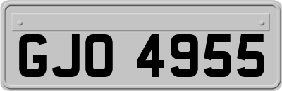 GJO4955