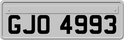 GJO4993