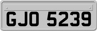 GJO5239