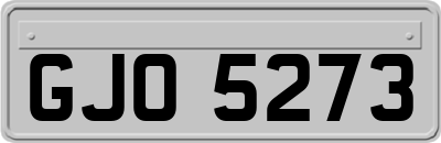 GJO5273