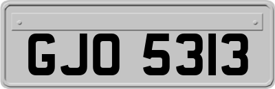 GJO5313