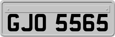 GJO5565