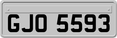 GJO5593