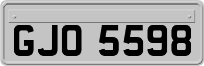 GJO5598