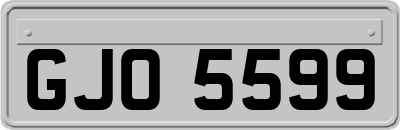 GJO5599