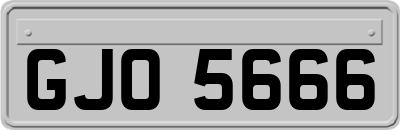 GJO5666