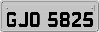 GJO5825